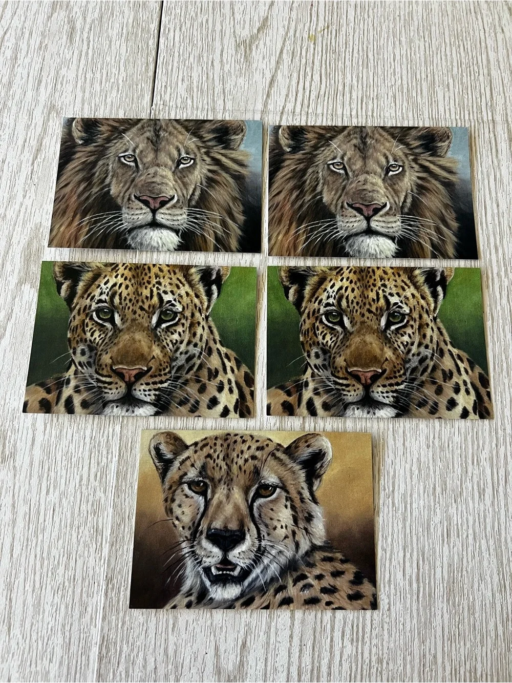 Set of 5 African Cats Print Notecards Stationary from Oil Paintings